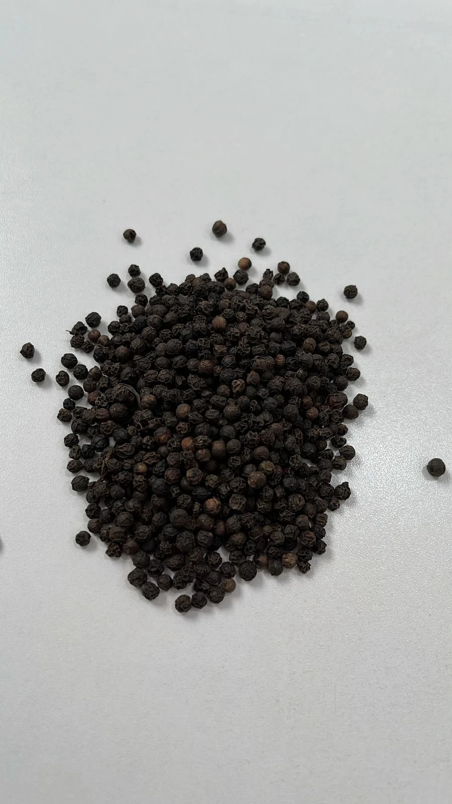 Fábrica de temperos secos